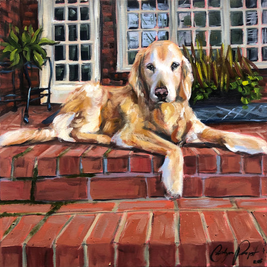 winston golden retriever portrait 12x12 oil on canvas 1